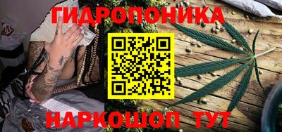 мяу мяу мука Северобайкальск