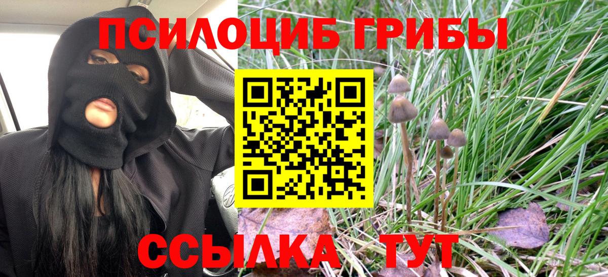 Галлюциногенные грибы мухоморы  Вход с VPN  Светлоград 